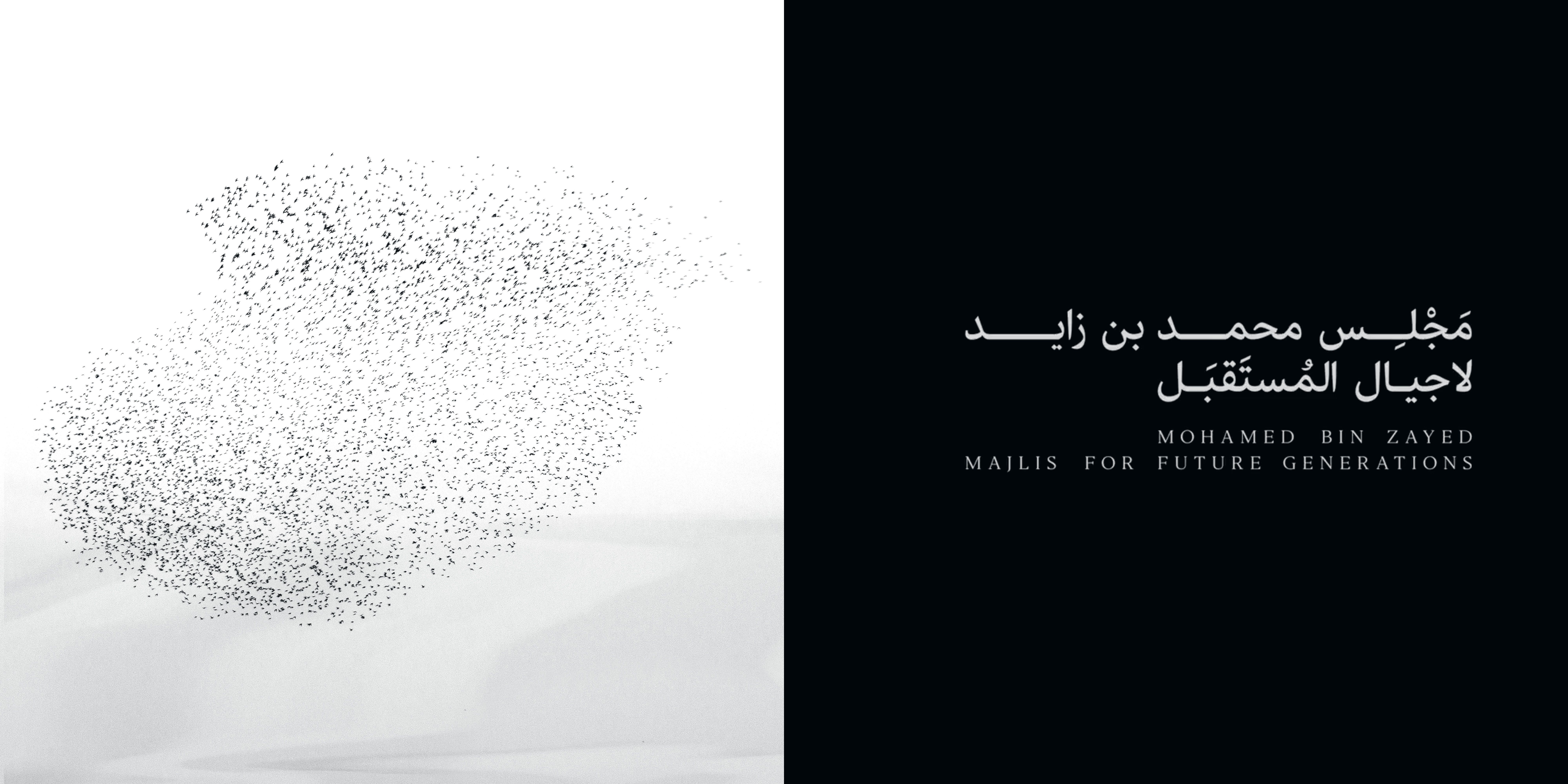 starling murmuration and kufi square