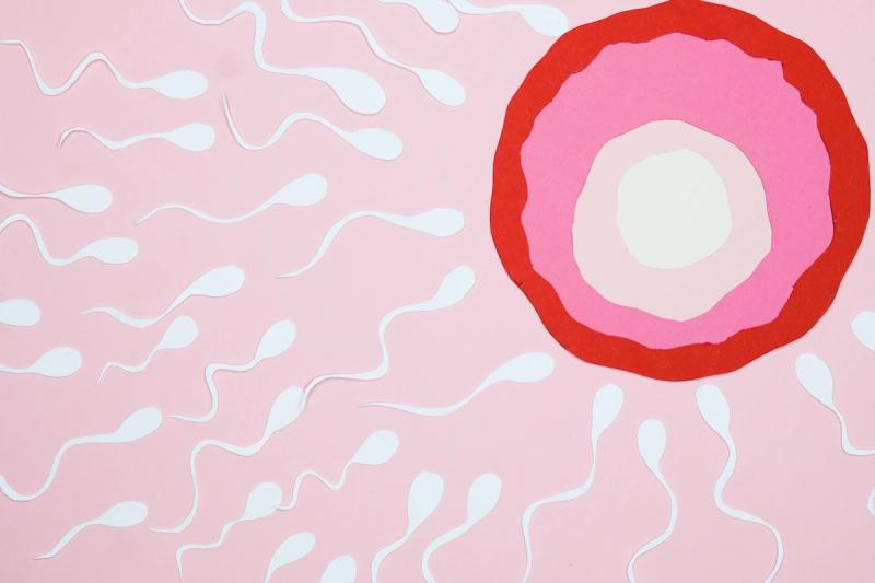 第三代试管婴儿,试管婴儿技术,试管婴儿的,IVF,辅助生殖技术,试管婴儿医院机构,供卵试管,供精试管,康贝儿助孕中心,LGBTQ,单身生育,试管助孕,备孕,不孕不育,高龄大龄生子怀孕