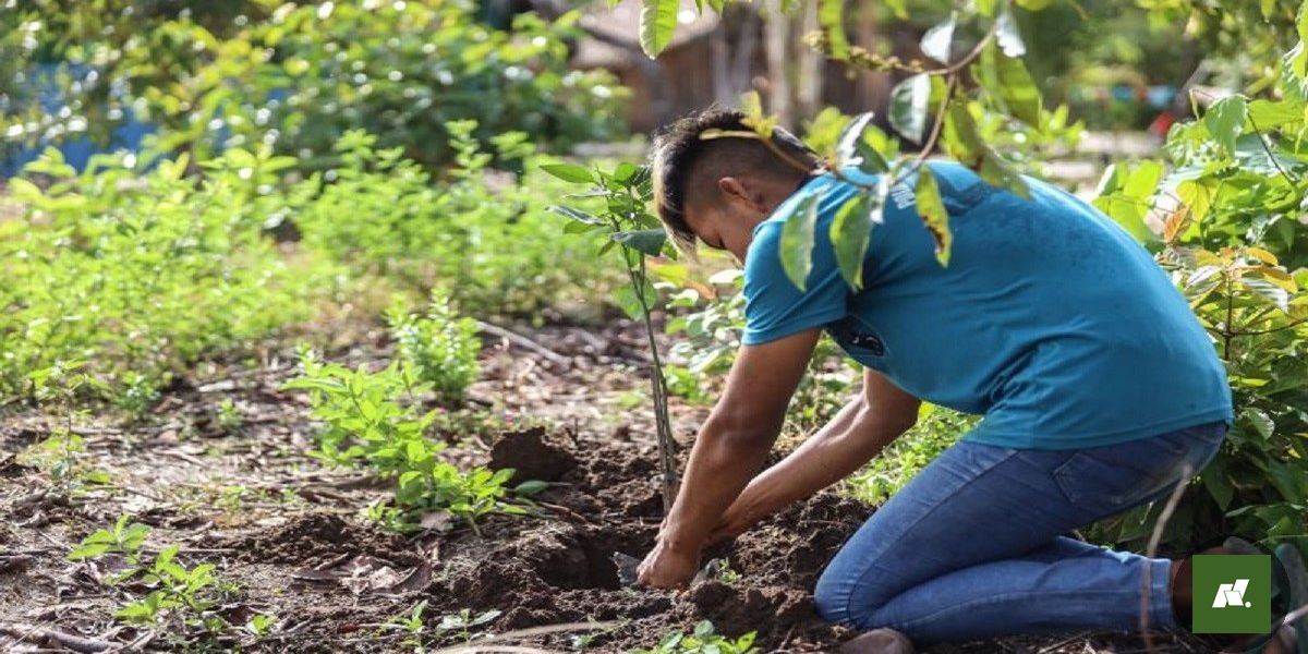 Agricultores do Pará Recebem Auxílio para Acesso a Crédito e Habitação Rural