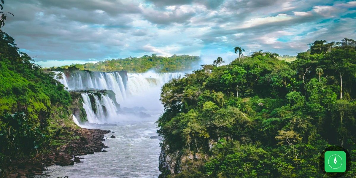 COP15 avança na proteção de 42 espécies migratórias com impacto direto na Amazônia