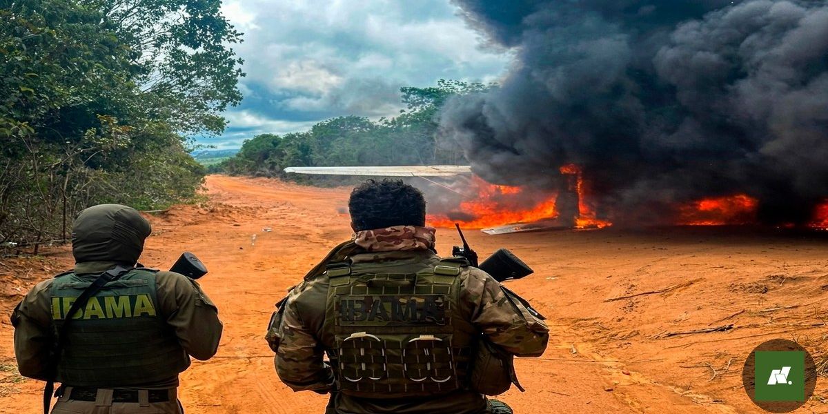 Garimpo Ilegal no Pará: Avião é Incinerado em Ação Contra Crimes Ambientais