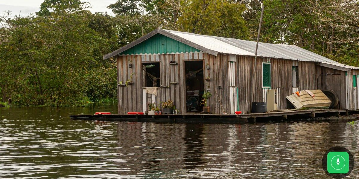 Filhote de Onça-Pintada no Pará Recebe Nome Escolhido pelo Público