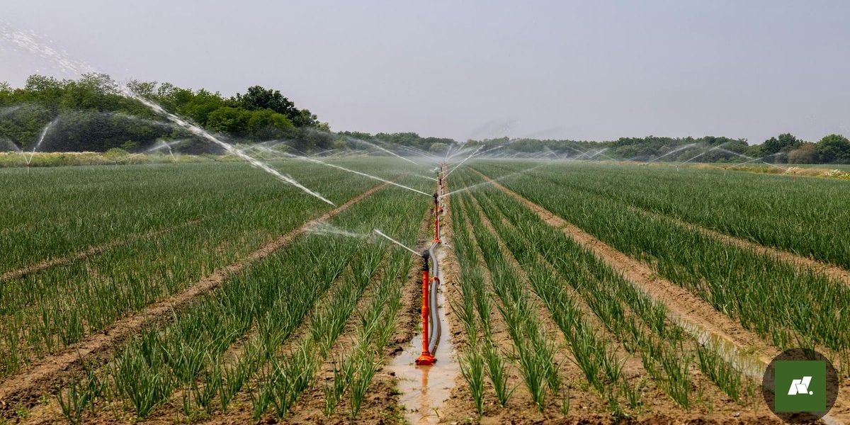 Chuvas Intensas Atingem Região Norte: Alerta Laranja para Pará e Amazonas