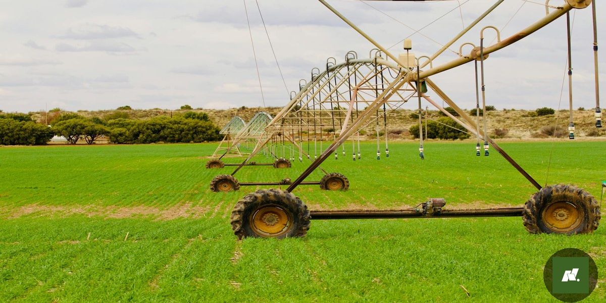 Chuvas intensas ameaçam região Norte, especialmente o Pará
