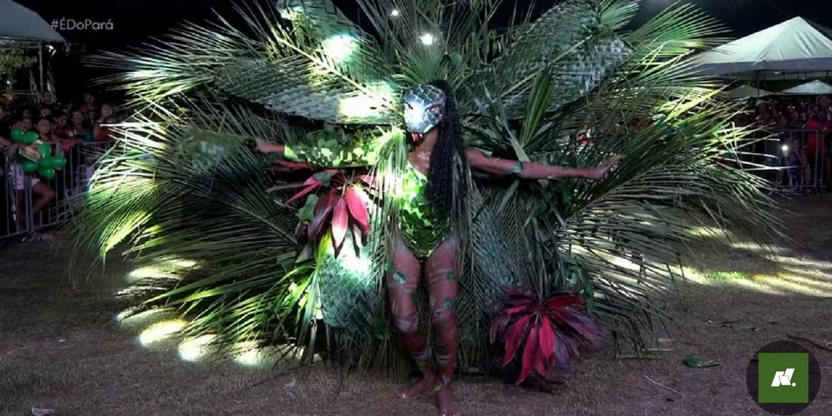 Festival Rainha das Matas: Celebração da Diversidade e da Natureza no Marajó
