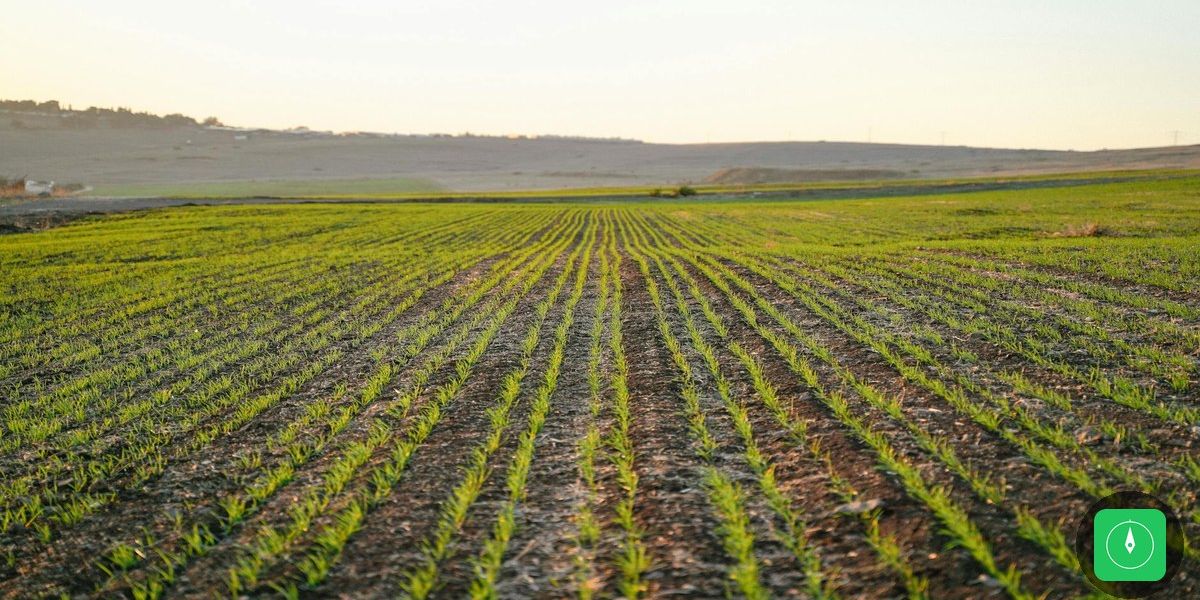 Guerras no exterior ameaçam insumos agrícolas e preocupam produtores do Pará