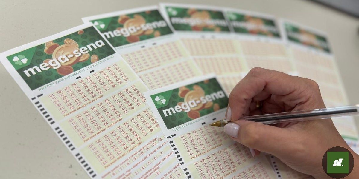 Sorte Grande no Oeste do Pará: Três Apostas Acertam a Quina