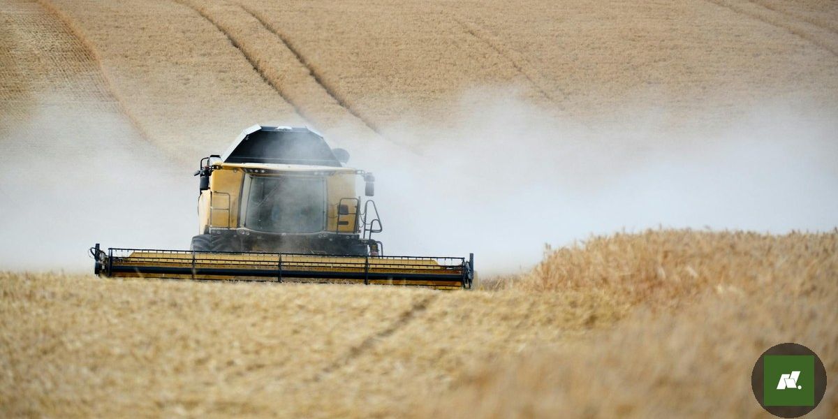 Café no Pará: A História Esquecida do Primeiro Cultivo no Brasil