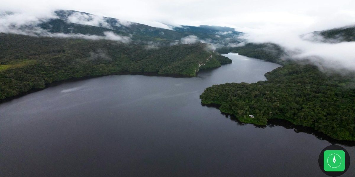 COP15 aprova plano global para proteger bagres e ariranhas da Amazônia