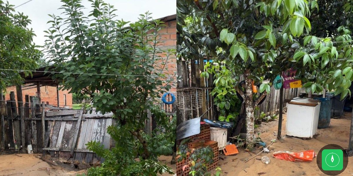 Chuva de 98 mm em 12 horas devasta Oriximiná e arrasta veículos nas ruas