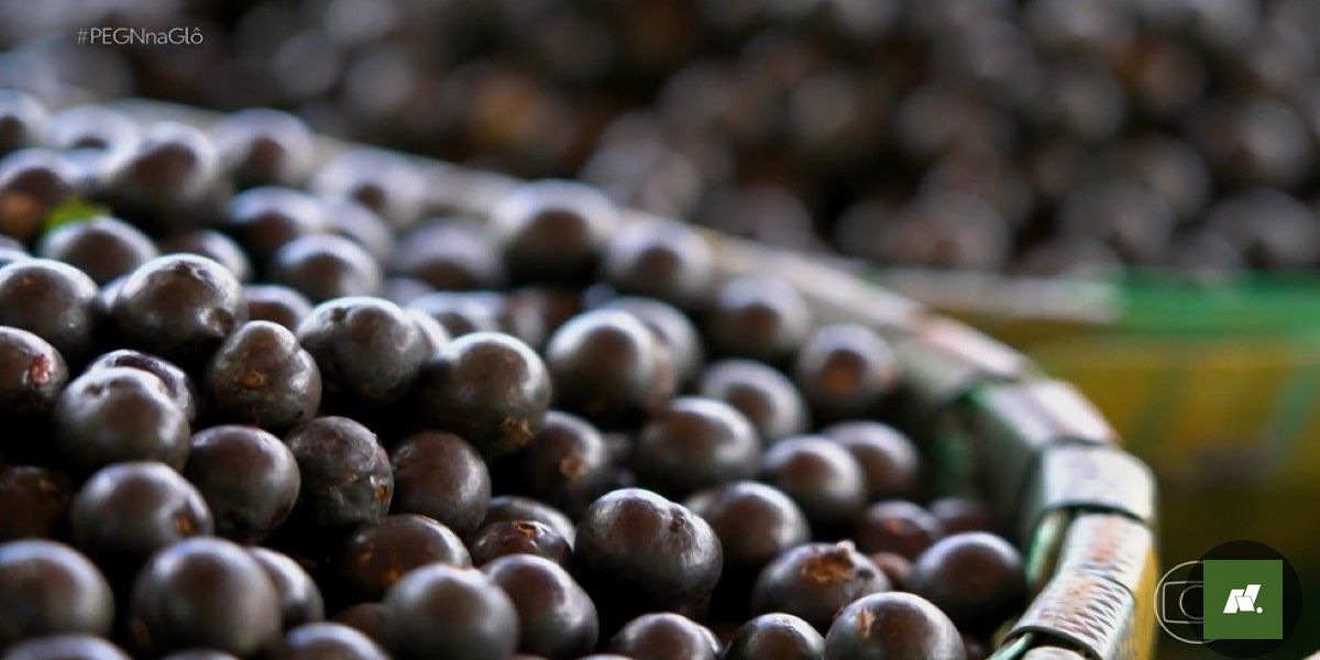 Açaí: Preços Disparam no Pará e Afetam Comerciantes