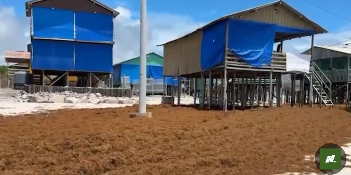 Sargaço Invade Praias do Pará: Impacto Ambiental e Econômico