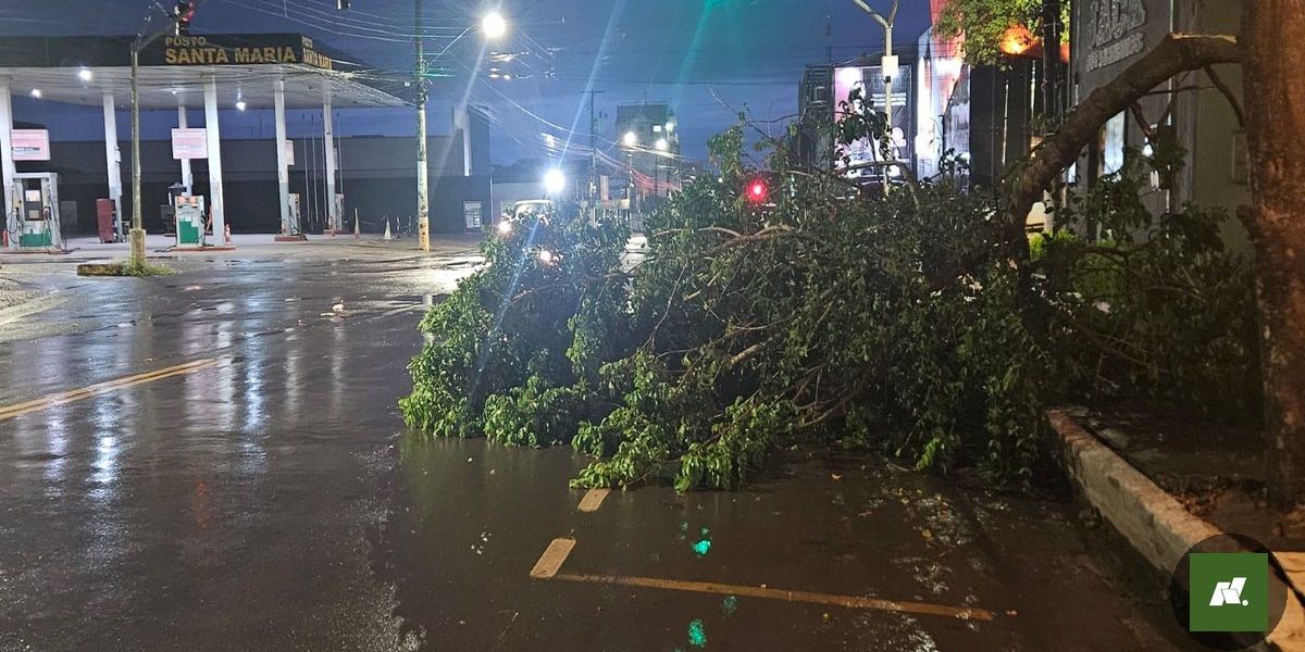 Chuvas intensas causam destruição em Santarém, no oeste do Pará