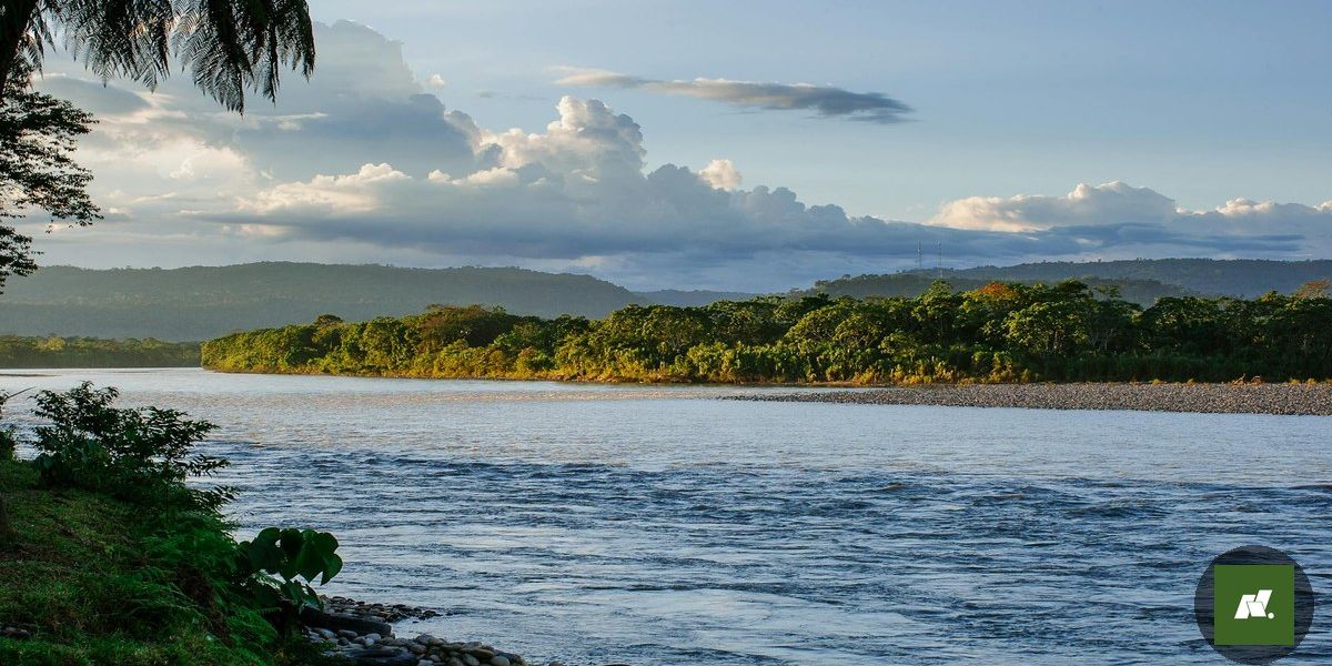 Belém Disputa Título de Melhor Experiência Gastronômica do Mundo