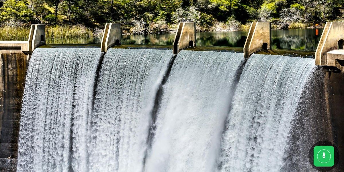 Povos tradicionais exigem voz oficial em tratado global sobre animais migratórios