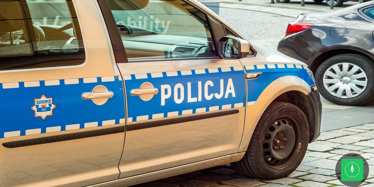 Cão sofre maus-tratos em Benevides e recebe alta após amputação