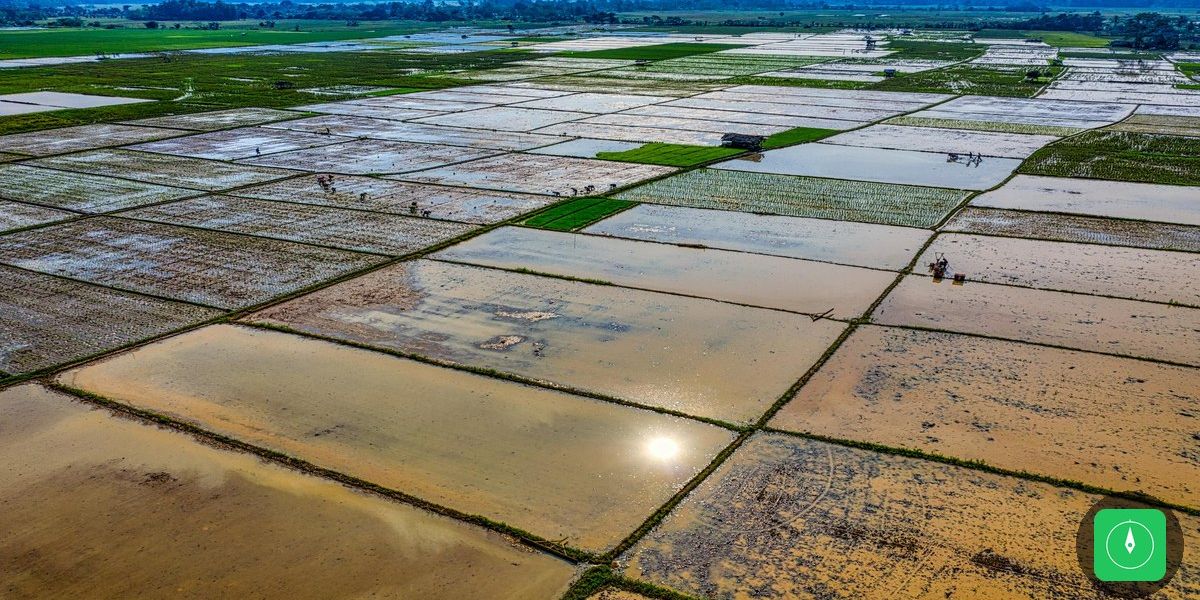Adutora rompe na BR-316 e mais de 20 bairros ficam sem água em Belém e Ananindeua