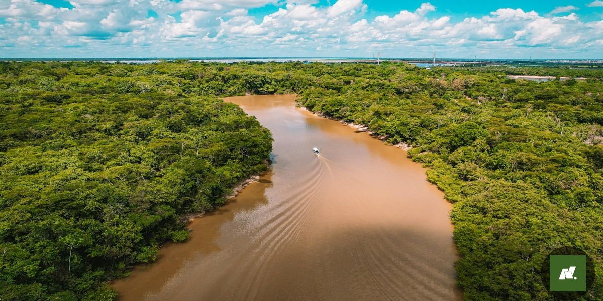 Tecnologia Inovadora para Monitorar Poluição do Ar chega à Amazônia