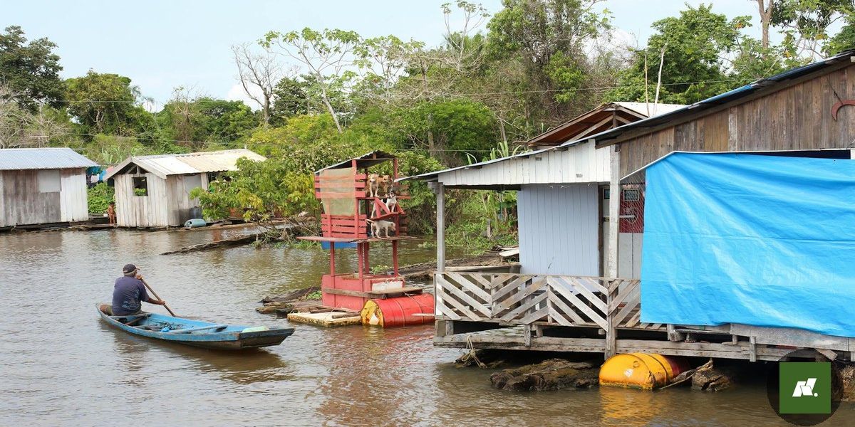Garimpo Ilegal na Amazônia: Polícia Federal Desmantela Operação Criminosa no Pará