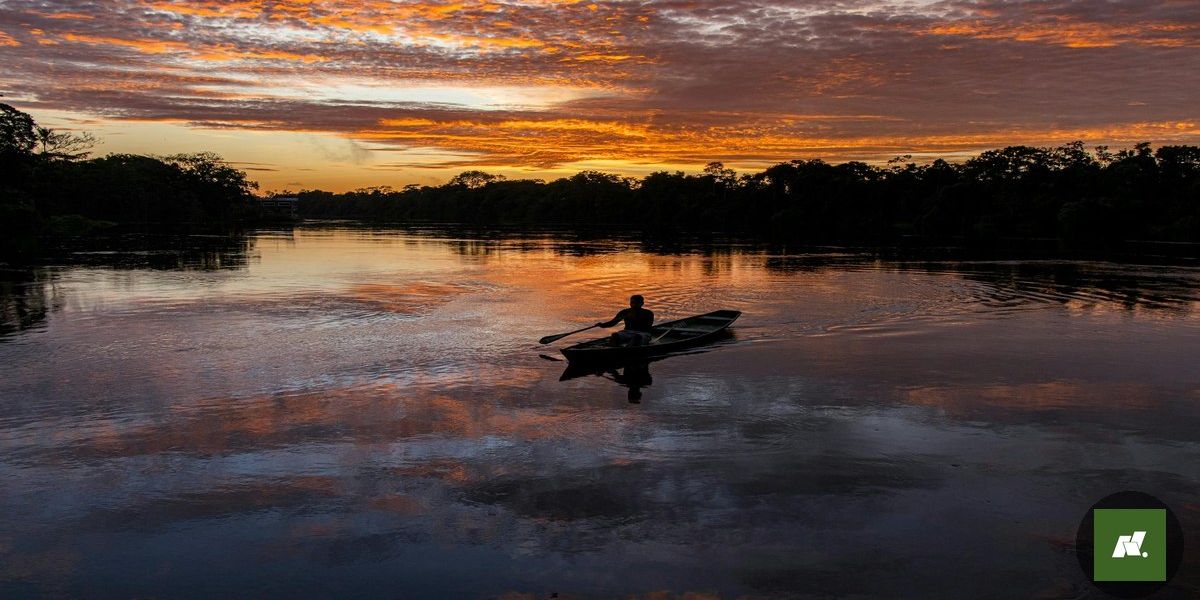 Parque Nacional da Tijuca bate recorde de visitantes: o que isso significa para a Amazônia