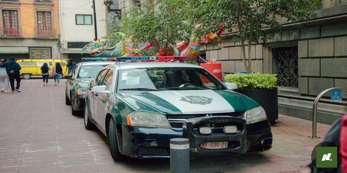 Operação da Sefa apreende milhares de garrafas de bebida e madeira no oeste do Pará