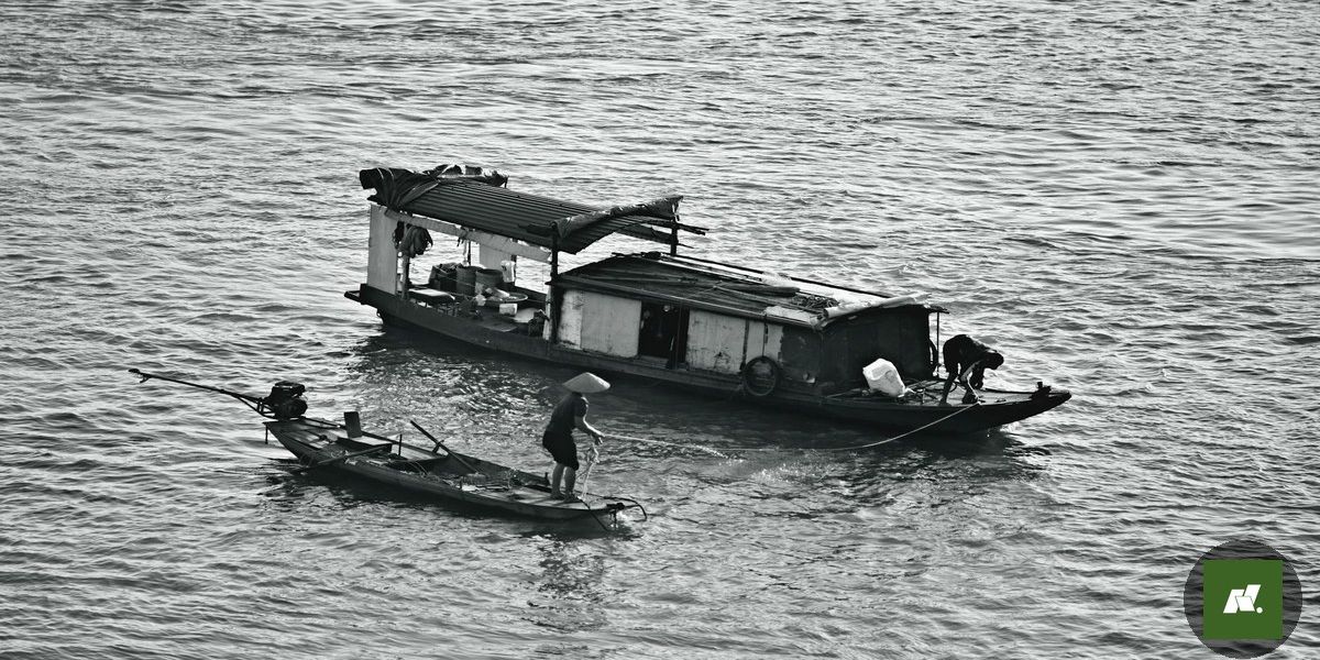 Peixe na Semana Santa: Tambaqui Lidera Produção no Pará