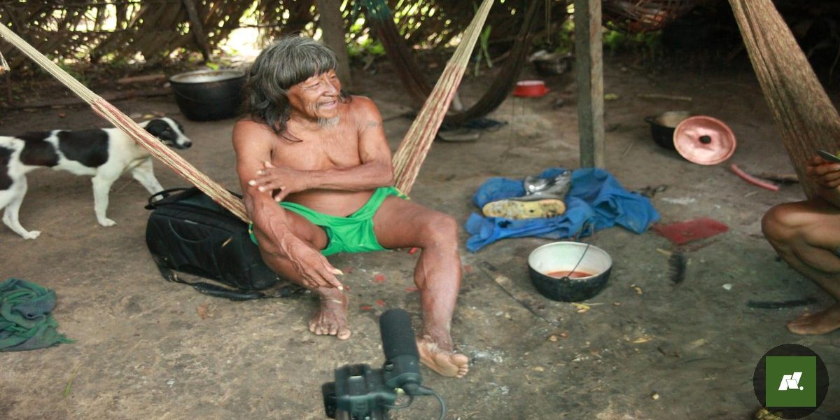 Povos Indígenas do Pará Unem-se em Belém para Celebrar Diversidade