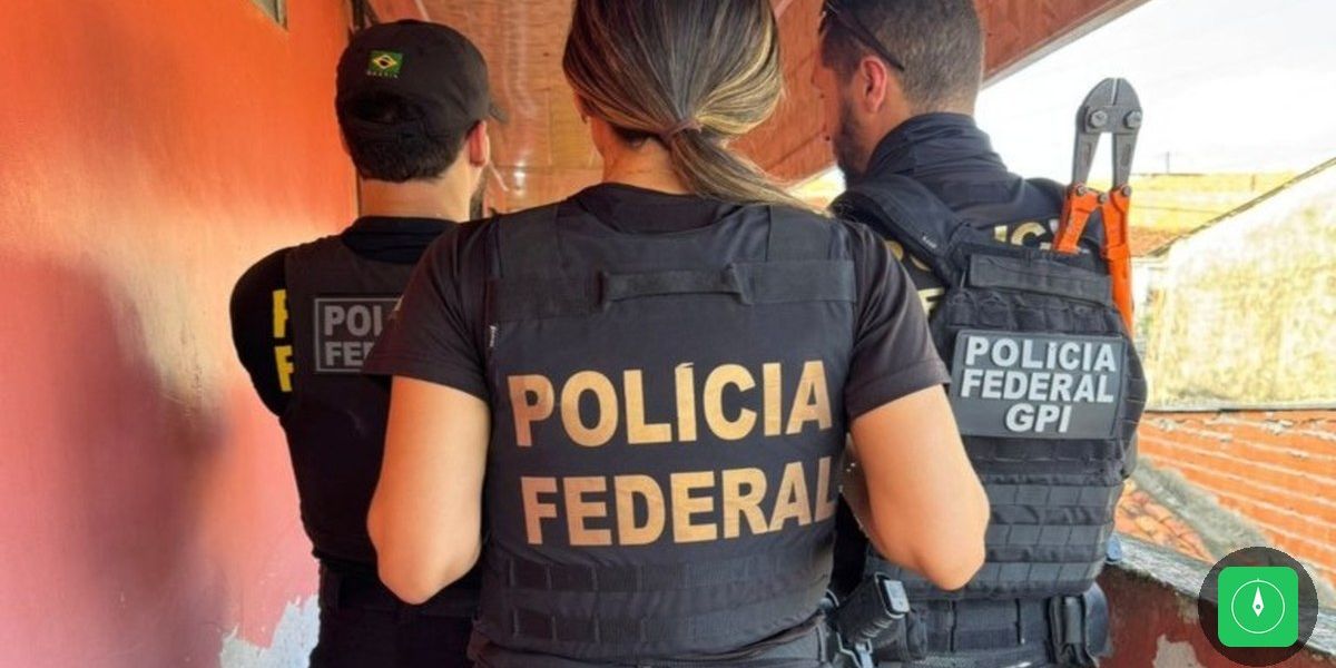 MPF denuncia rede criminosa que torturava animais e vendia vídeos ao exterior