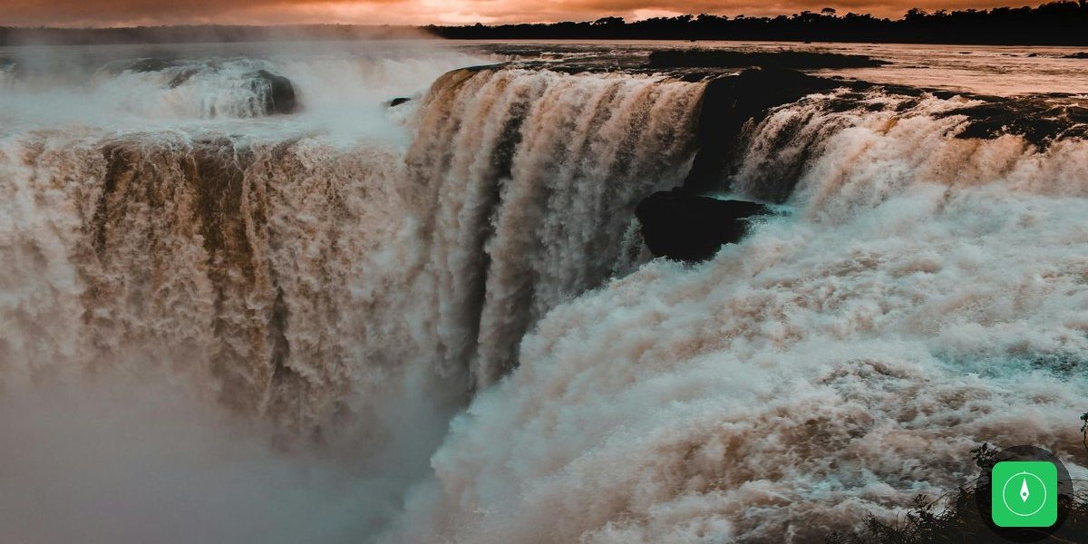 Amazônia vence na COP15: bagres gigantes e ariranhas ganham proteção internacional