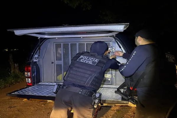 Menino de 7 anos morre após disparo acidental com arma do padrasto no Pará