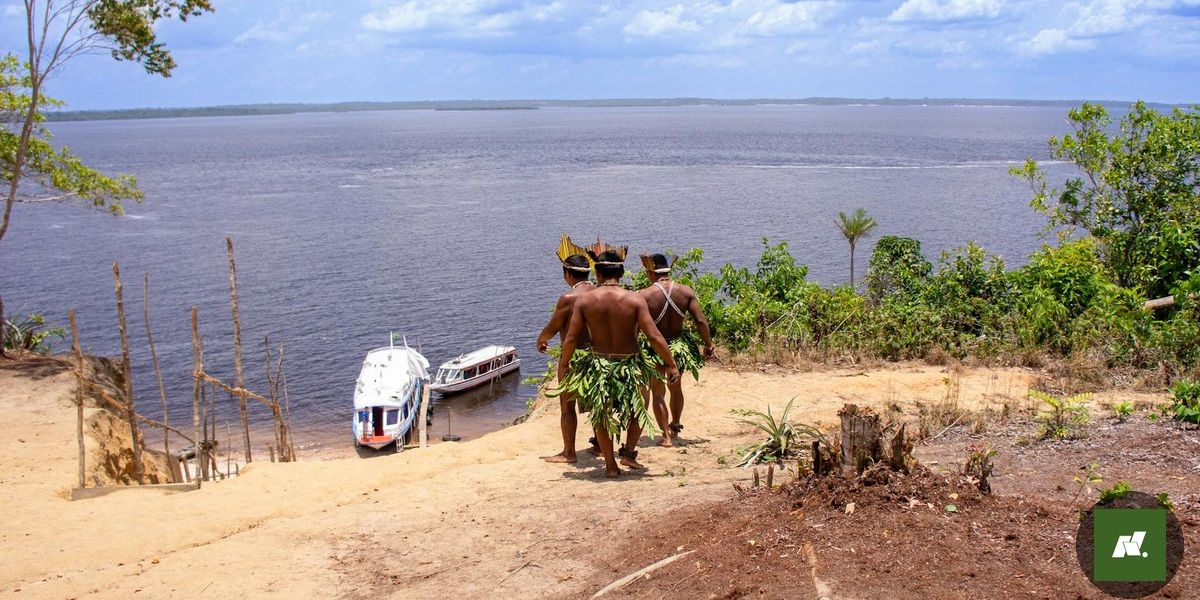 Amazônia em Foco: Parque Nacional do Pico da Neblina Brilha na Alemanha
