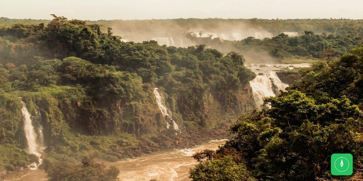Onça-Pintada Xingu Nasce no BioParque Vale Amazônia
