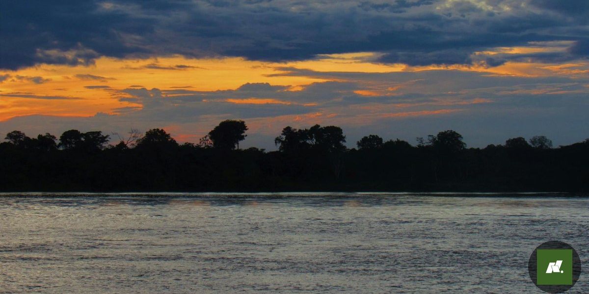 Descobrindo a Amazônia Através dos Trilhos: Um Novo Olhar