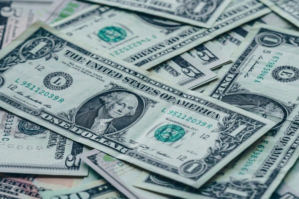 Agronegócio no Pará: Como os pequenos produtores estão lucrando