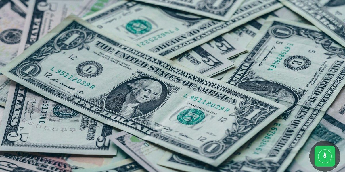 Agronegócio no Pará: Como os pequenos produtores estão lucrando