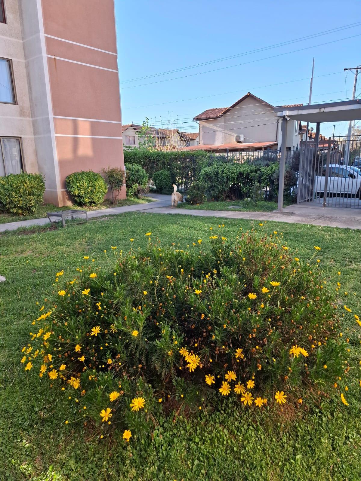 Departamento en arriendo Rancagua - Imagen 30