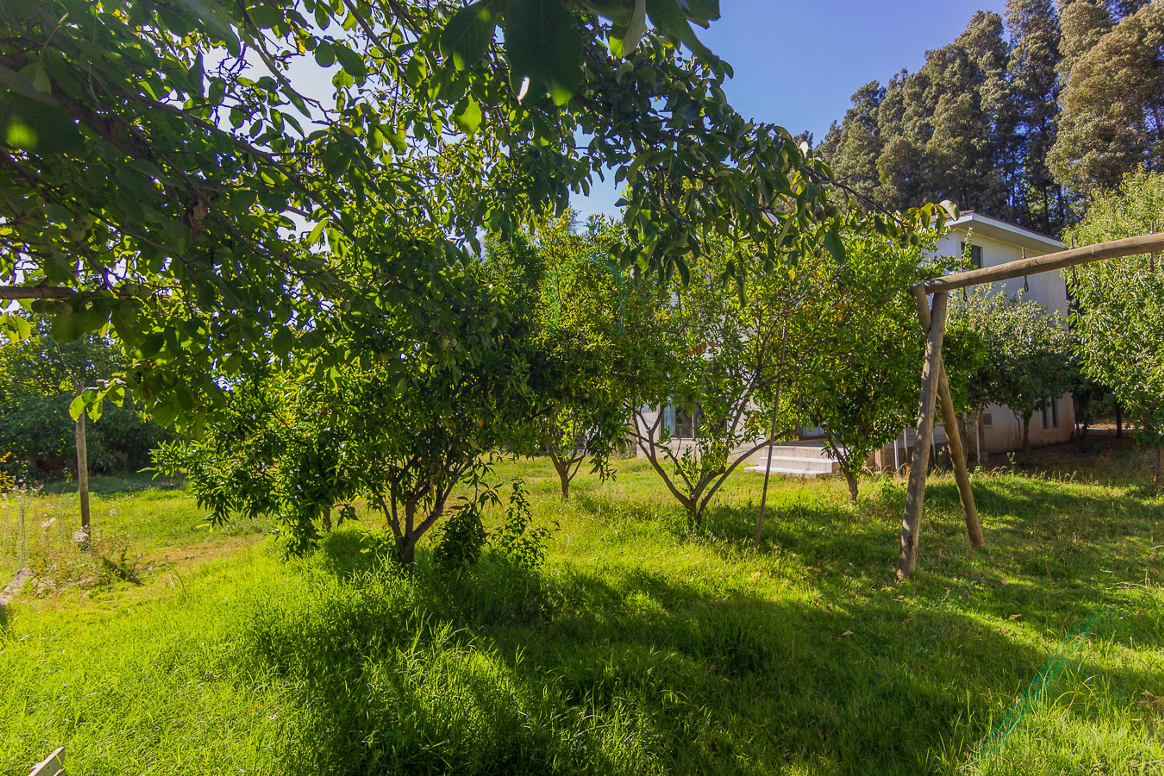 Casa en venta Requinoa 4 dormitorios 3 baños  - Imagen 22
