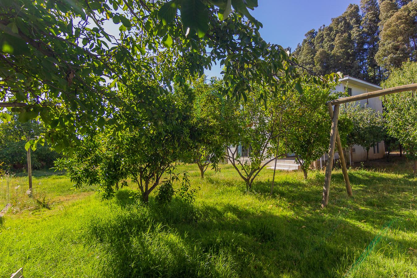 Casa en venta Requinoa 4 dormitorios 3 baños - Imagen 22