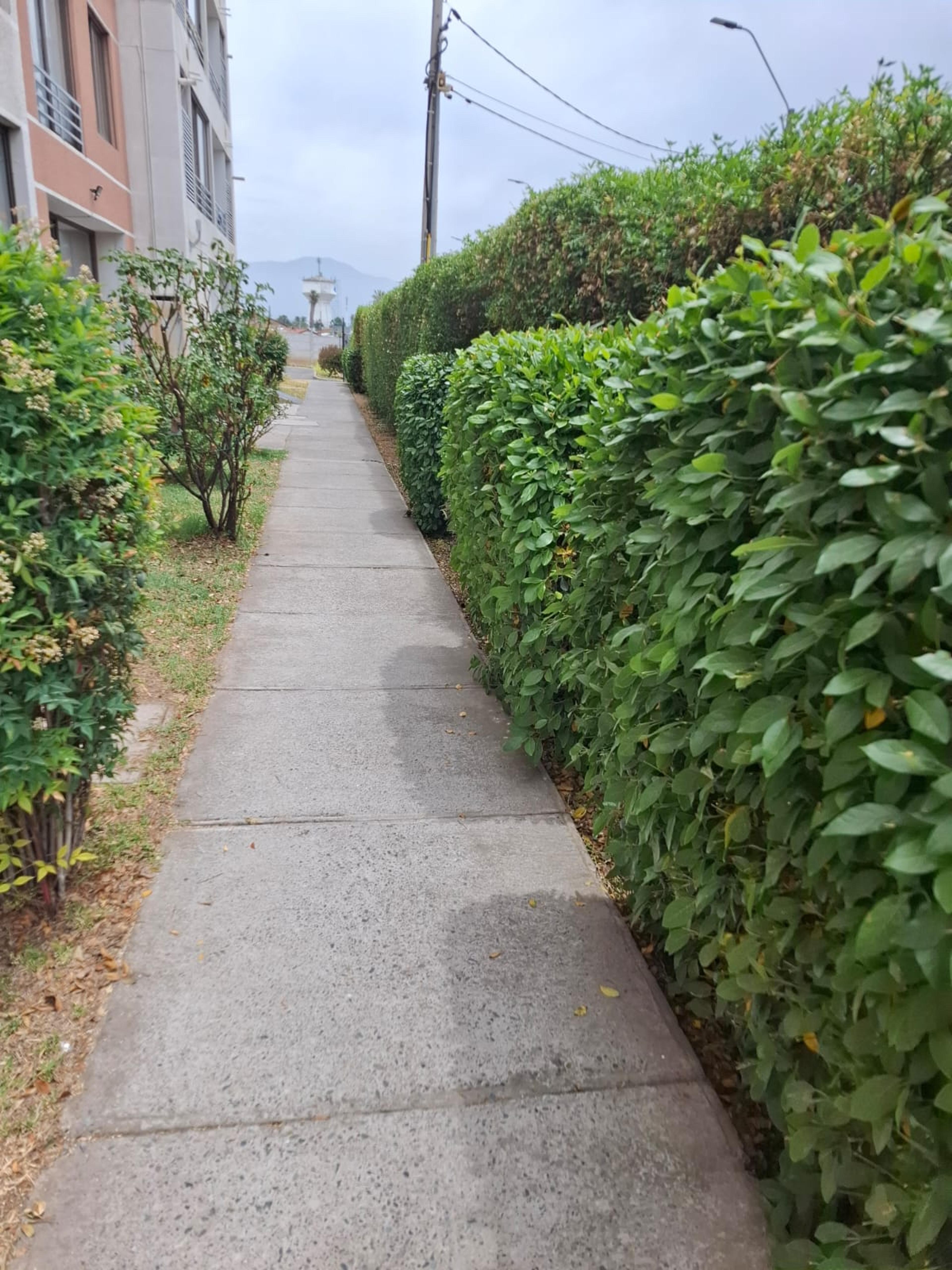 Departamento en arriendo Rancagua  - Imagen 31