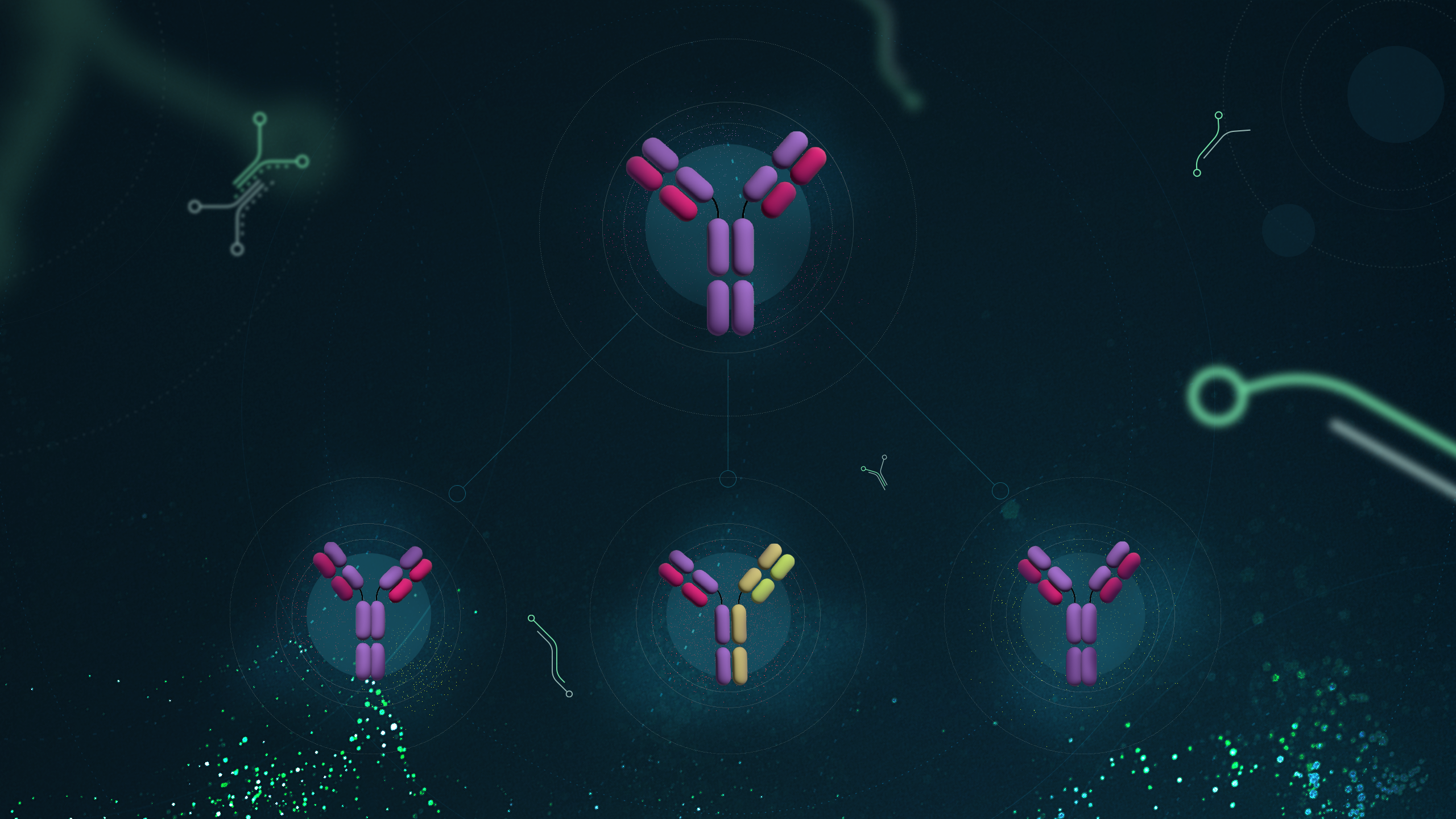 ​​What is antibody engineering and how is it transforming drug discovery today?