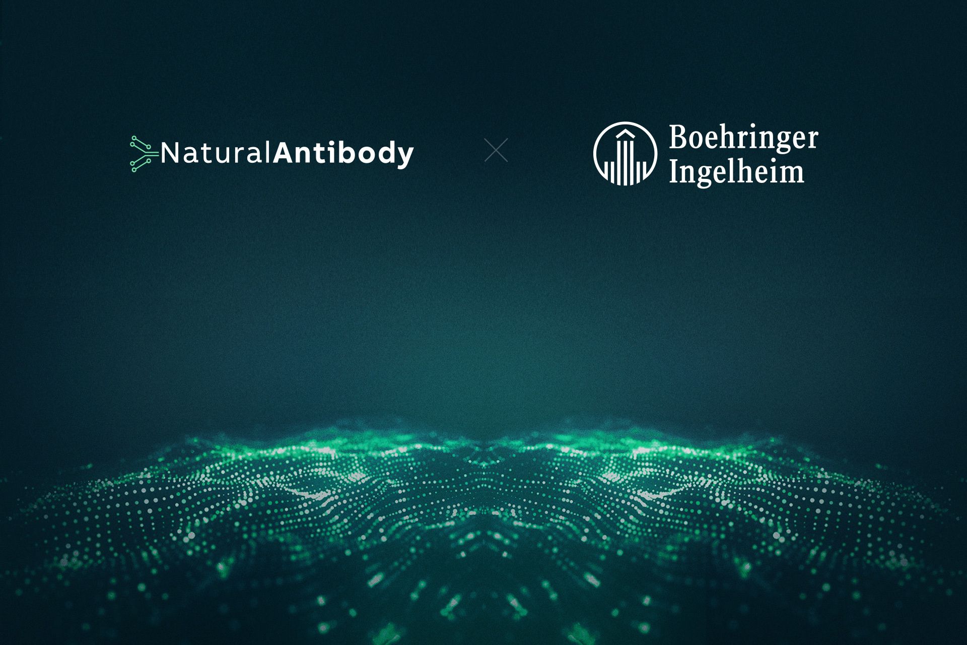 NaturalAntibody collaborates with Boehringer Ingelheim in the Computational Discovery of Therapeutic Antibodies