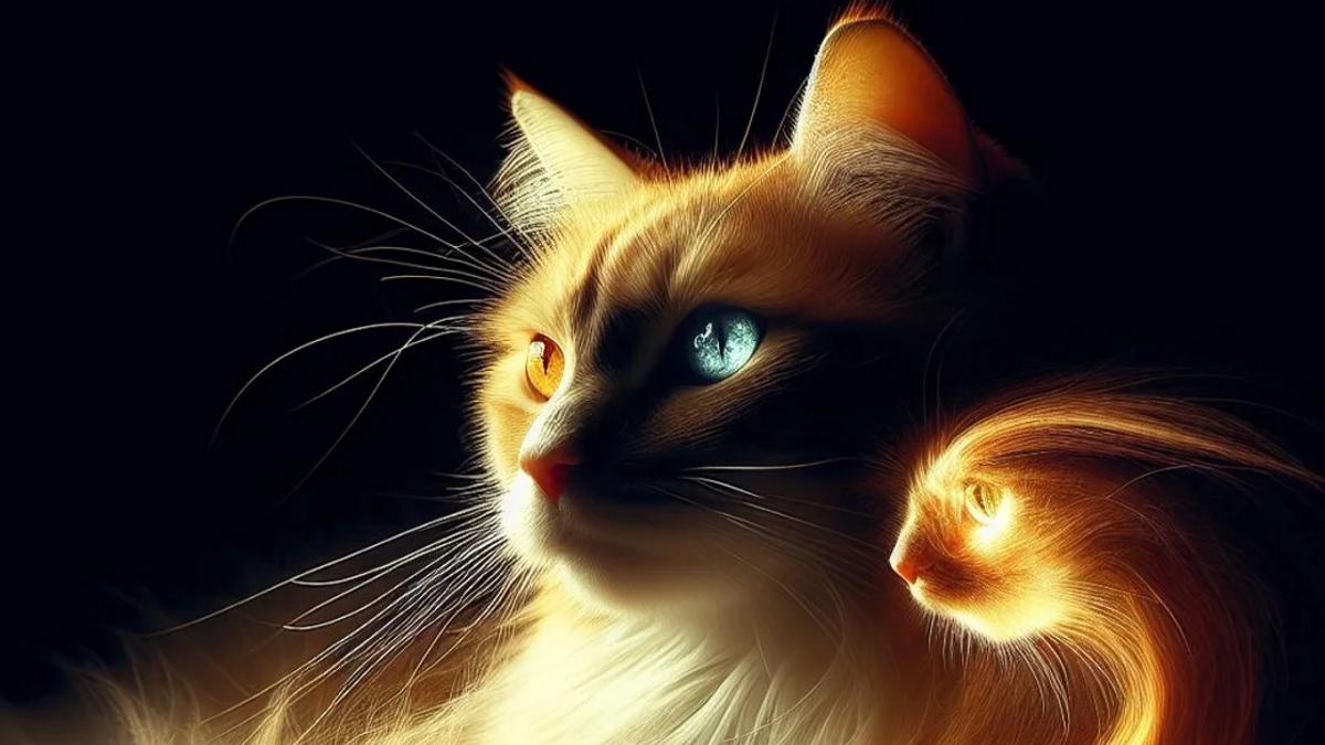 Gli animali hanno un’anima