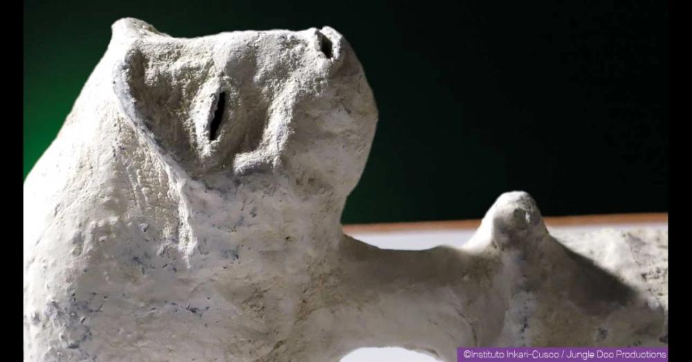 Una nuova specie di rettile umanoide - Josefina
