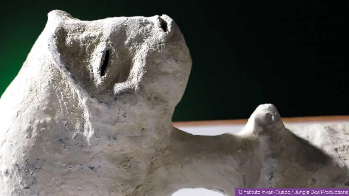 Una nuova specie di rettile umanoide - Josefina