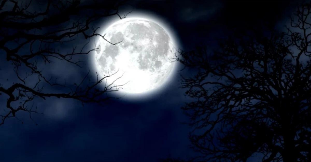 Come si è formata la Luna