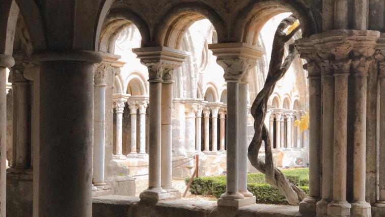 Discover Narbonne, A Hidden Gem in the South of France