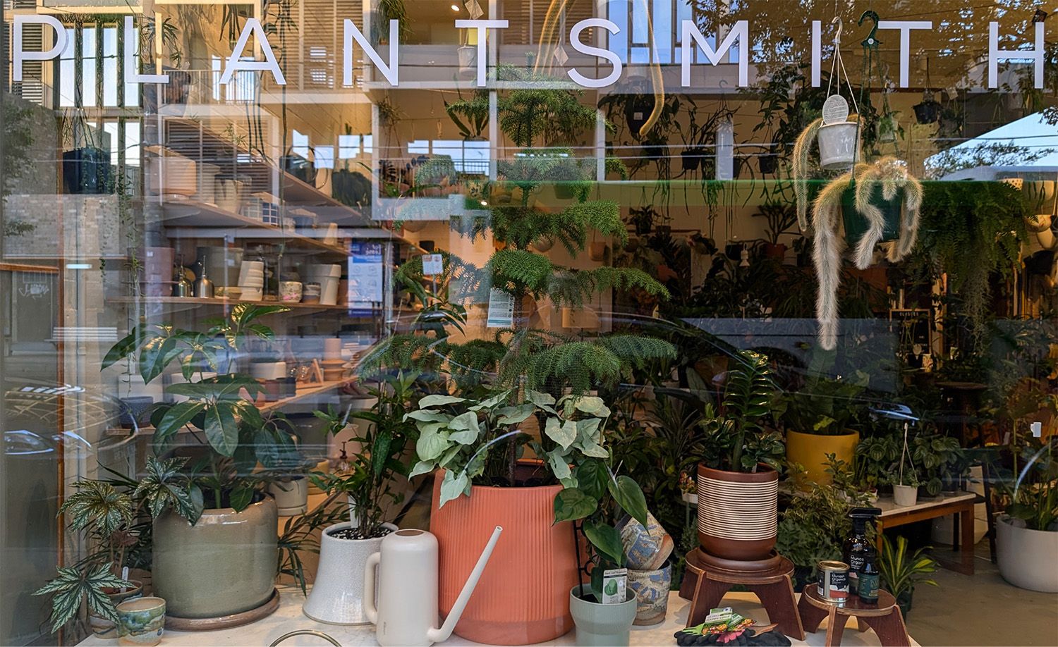 Plant store Plantsmith on High Street in Thornbury photographed through its large shopfront window, a lush and densely layered display of indoor plants in terracotta, sage and mustard ceramic pots arranged alongside a ribbed watering can, timber stools and gardening accessories, hanging plants with trailing foliage suspended from above, the store's bold spaced white lettering across the glass framing a glimpse into a verdant interior packed floor to ceiling with greenery, capturing the irresistibly lush and beautifully curated atmosphere of this much-loved neighbourhood plant shop.