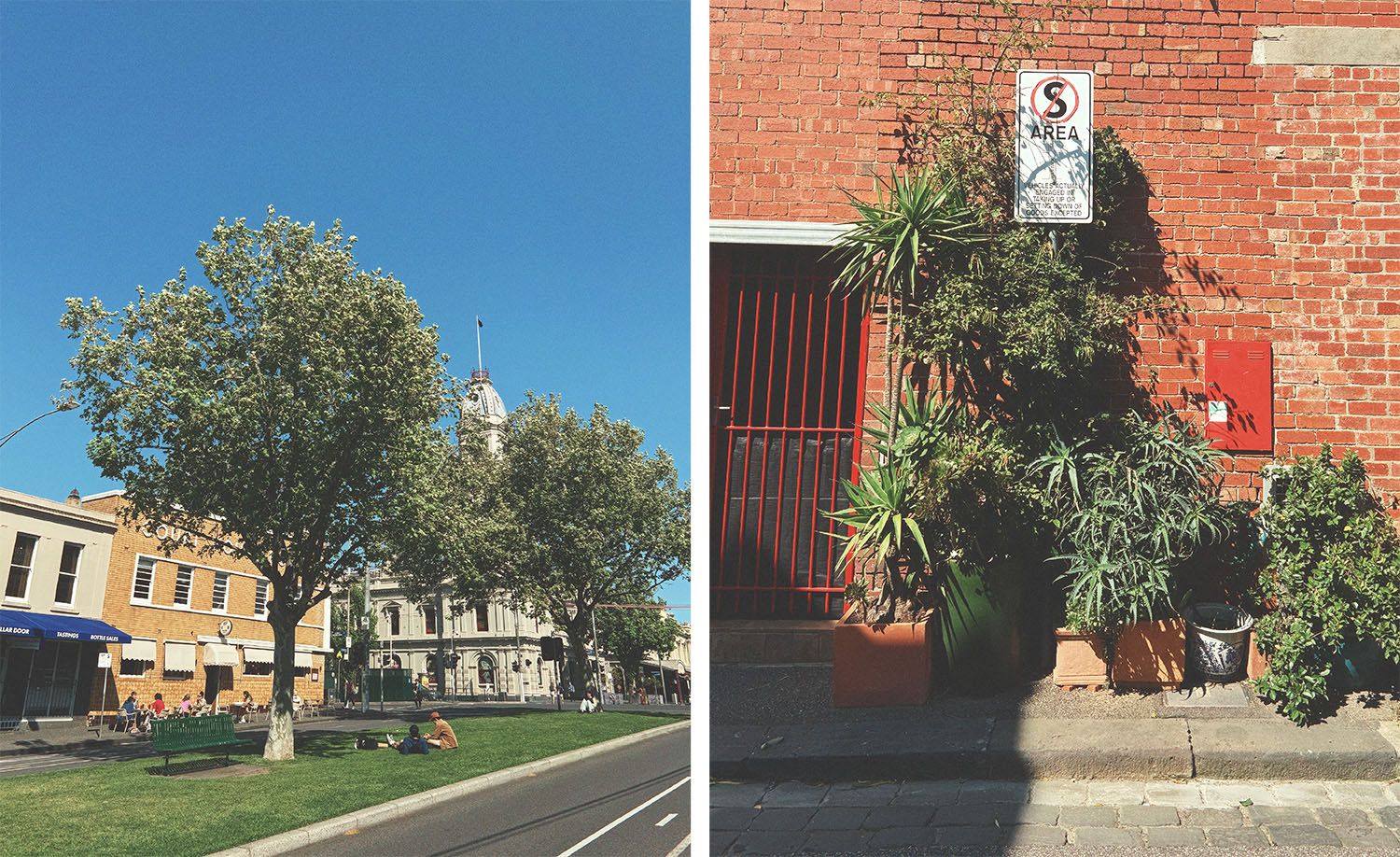 Two street scenes from North Melbourne: on the left, the Courthouse Hotel set behind a generous tree-lined median strip of mature plane trees and lush green lawn where locals are relaxing on a sunny day, the honey-toned bluestone and render of the historic courthouse building visible behind against a vivid blue sky; on the right, an exuberant cluster of potted palms, yuccas and leafy plants spilling across the steps of a red brick building beside a bold red steel gate, capturing the sun-drenched and characterful street life of Melbourne's inner north.