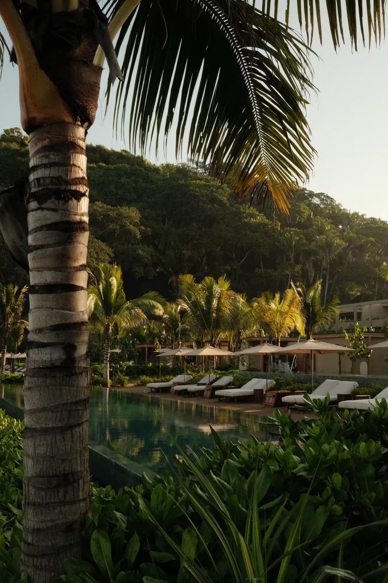 Rosewood Mandarina Mexico Pool