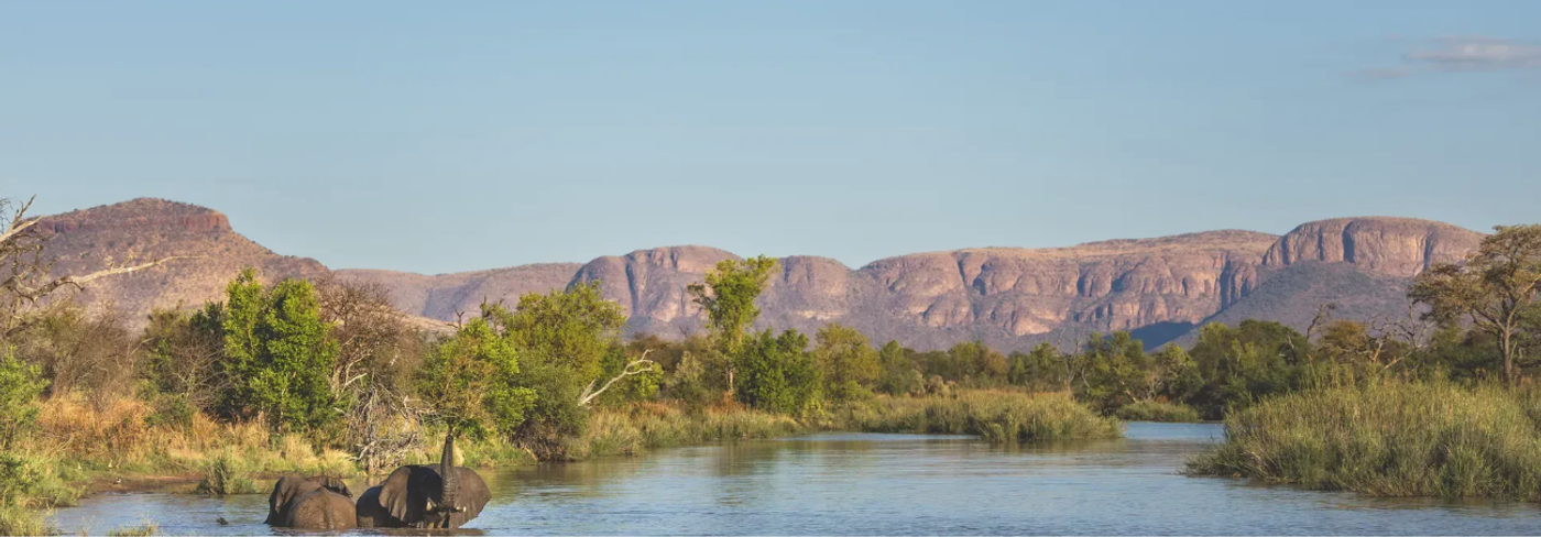 Lion Sands Reserve South Africa